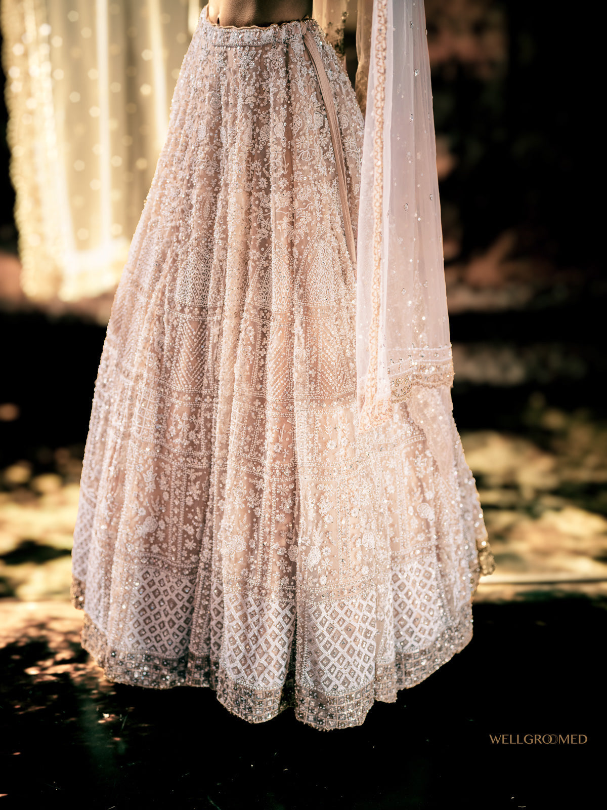 Raga sparkling embroidered reception lehenga by WellGroomed