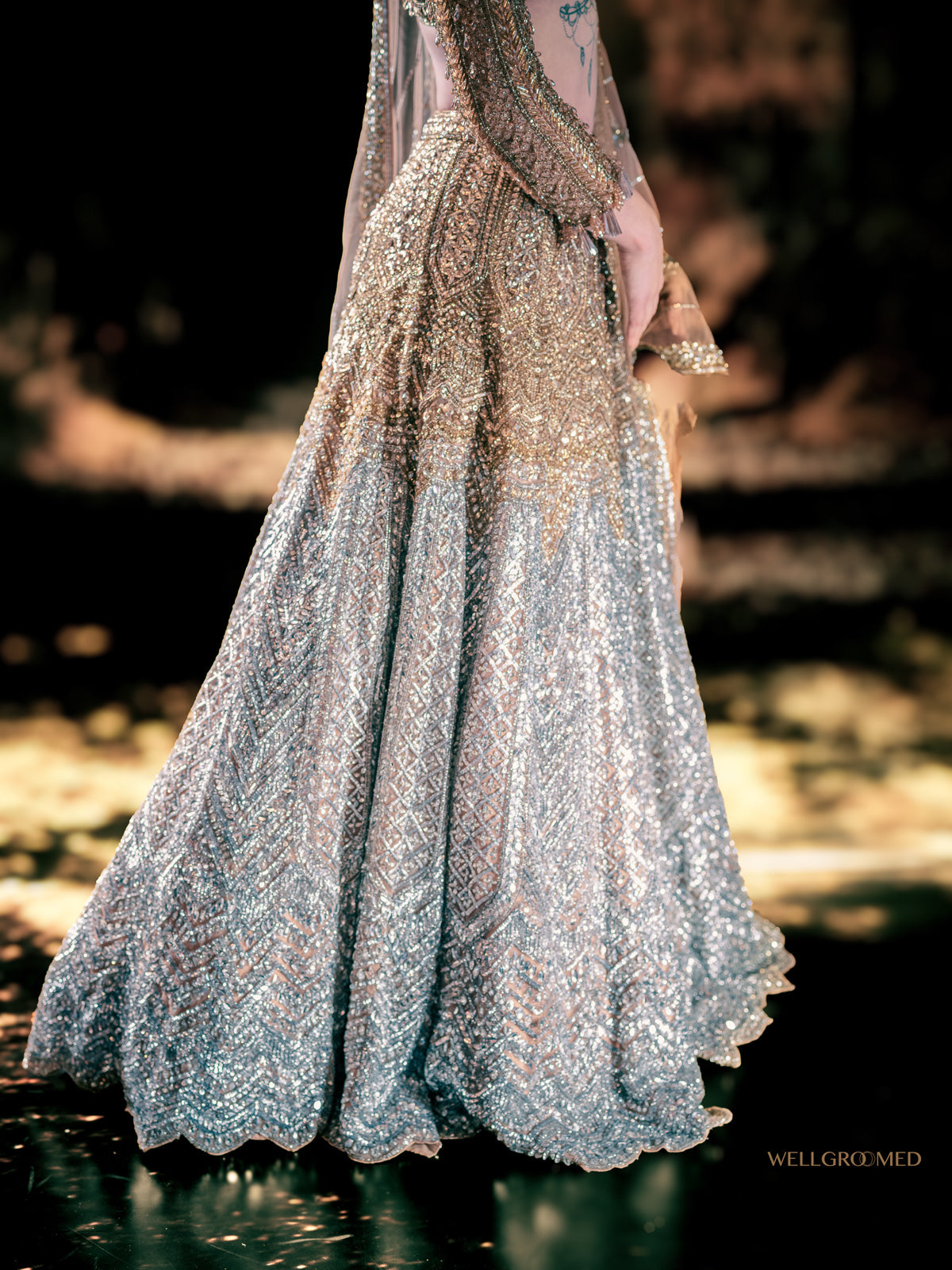Tara gold and silver reception lehenga by WellGroomed