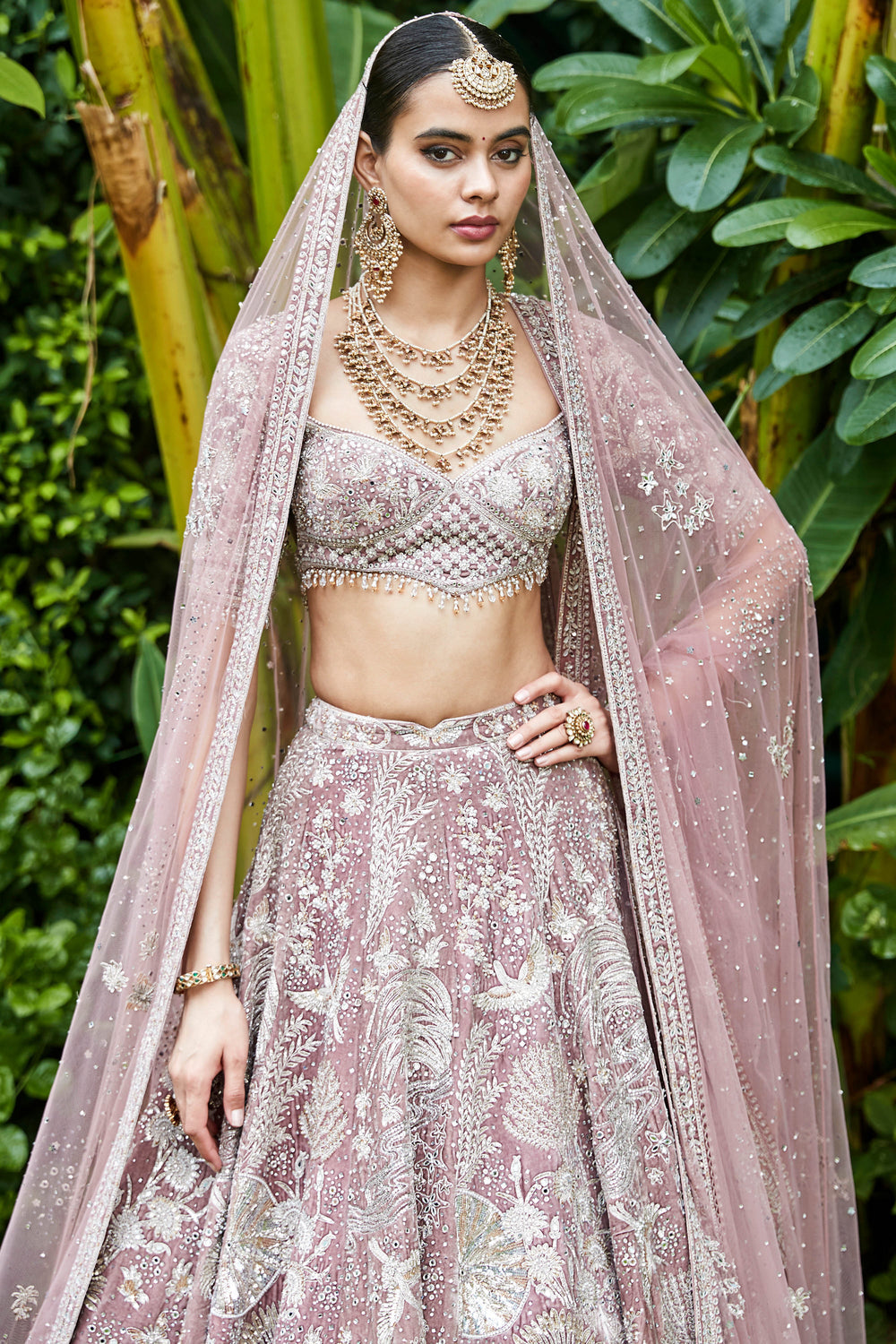 Lavanya